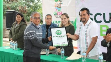 salud bucal gobierno del estado slp