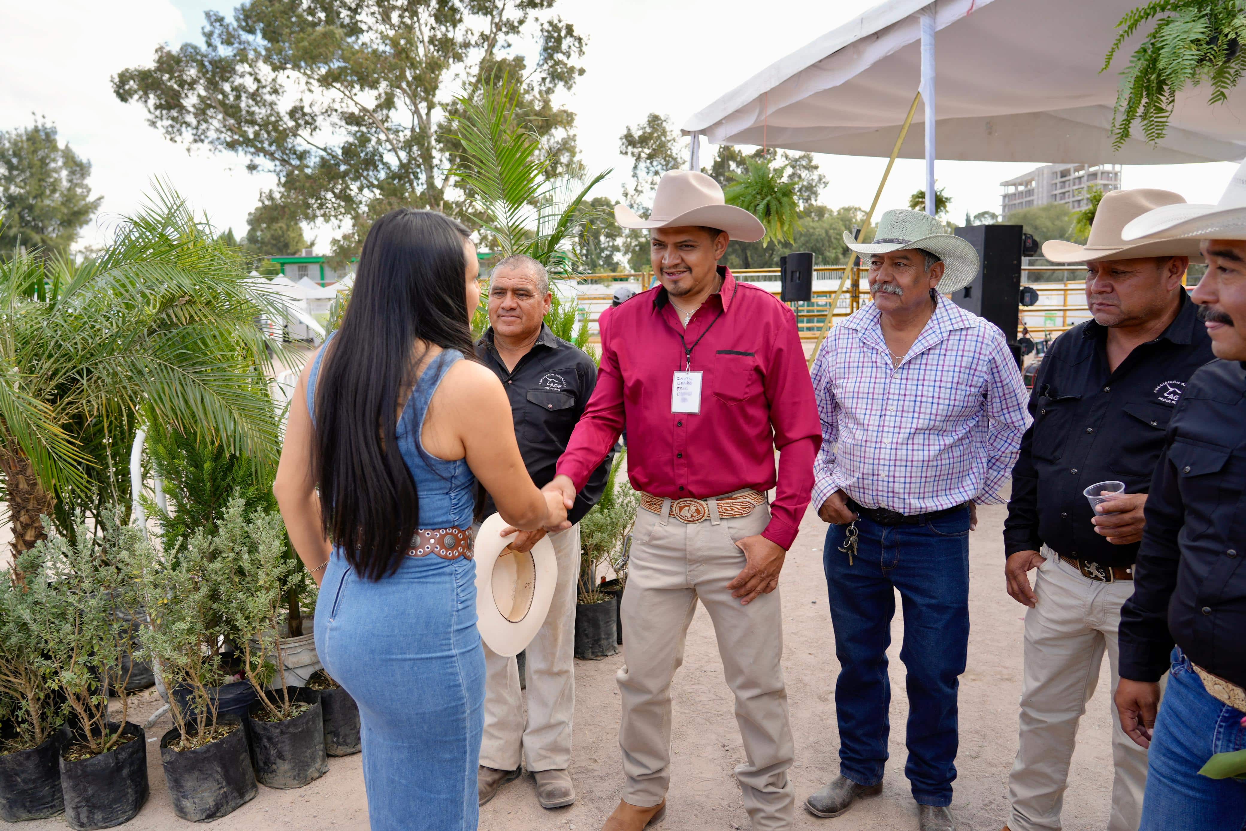 sector ganadero villa de pozos