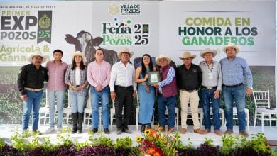 sector ganadero villa de pozos