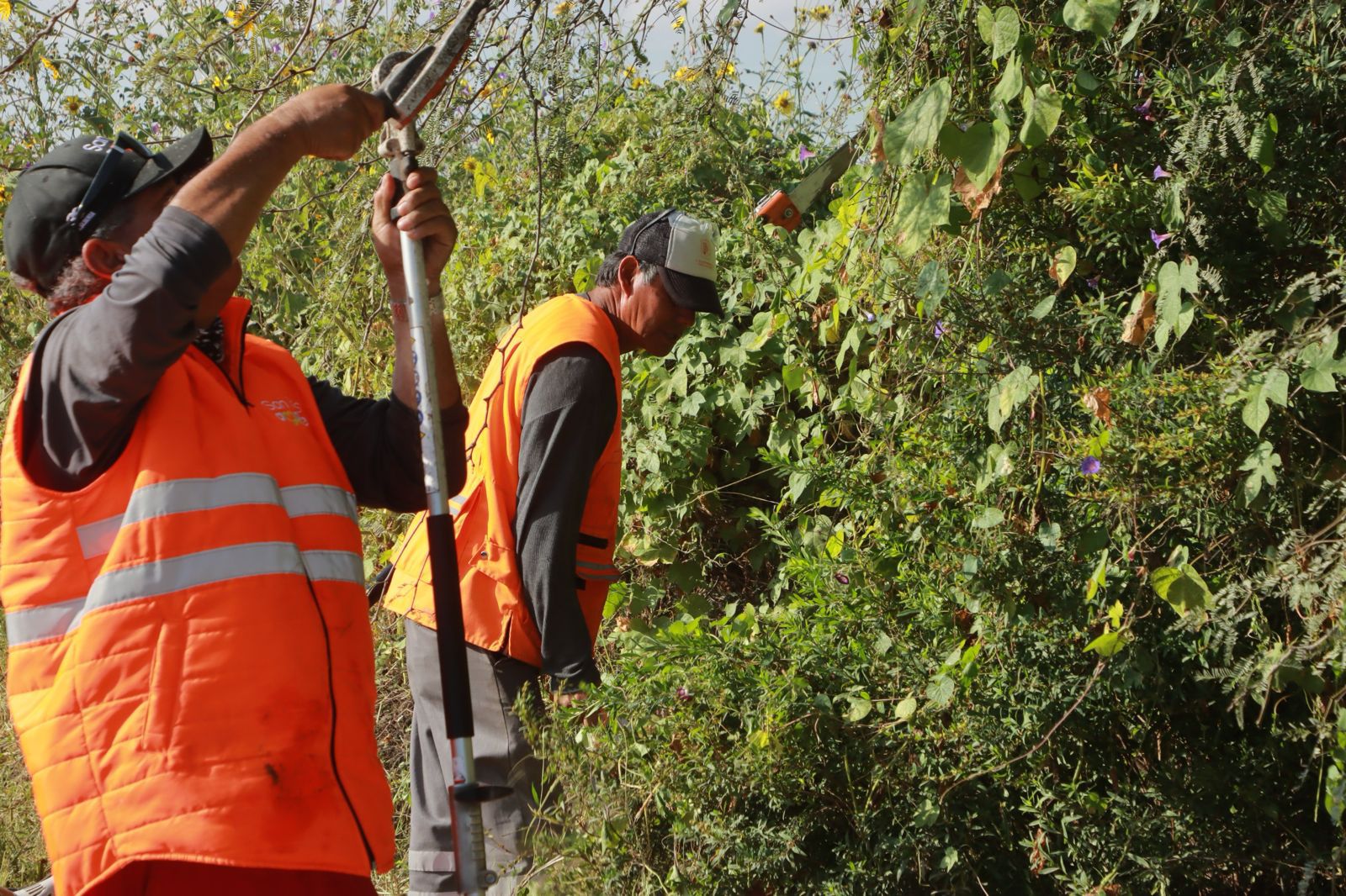 las terceras gobierno municipal slp