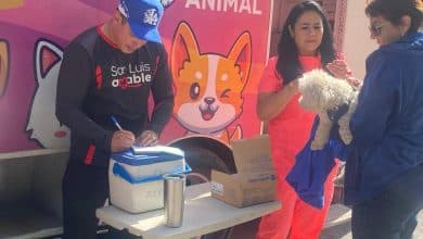 acciones bienestar animal