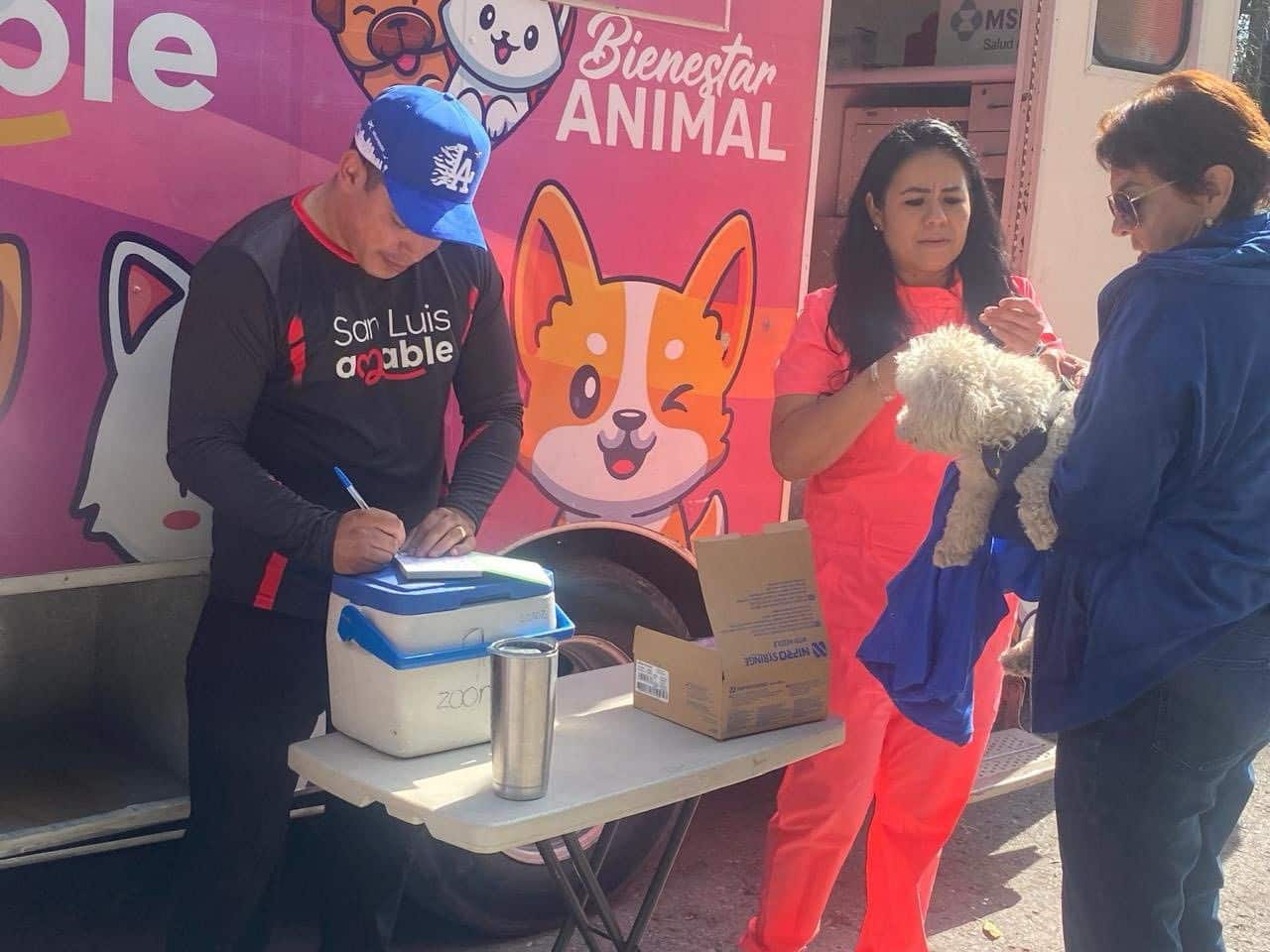 acciones bienestar animal