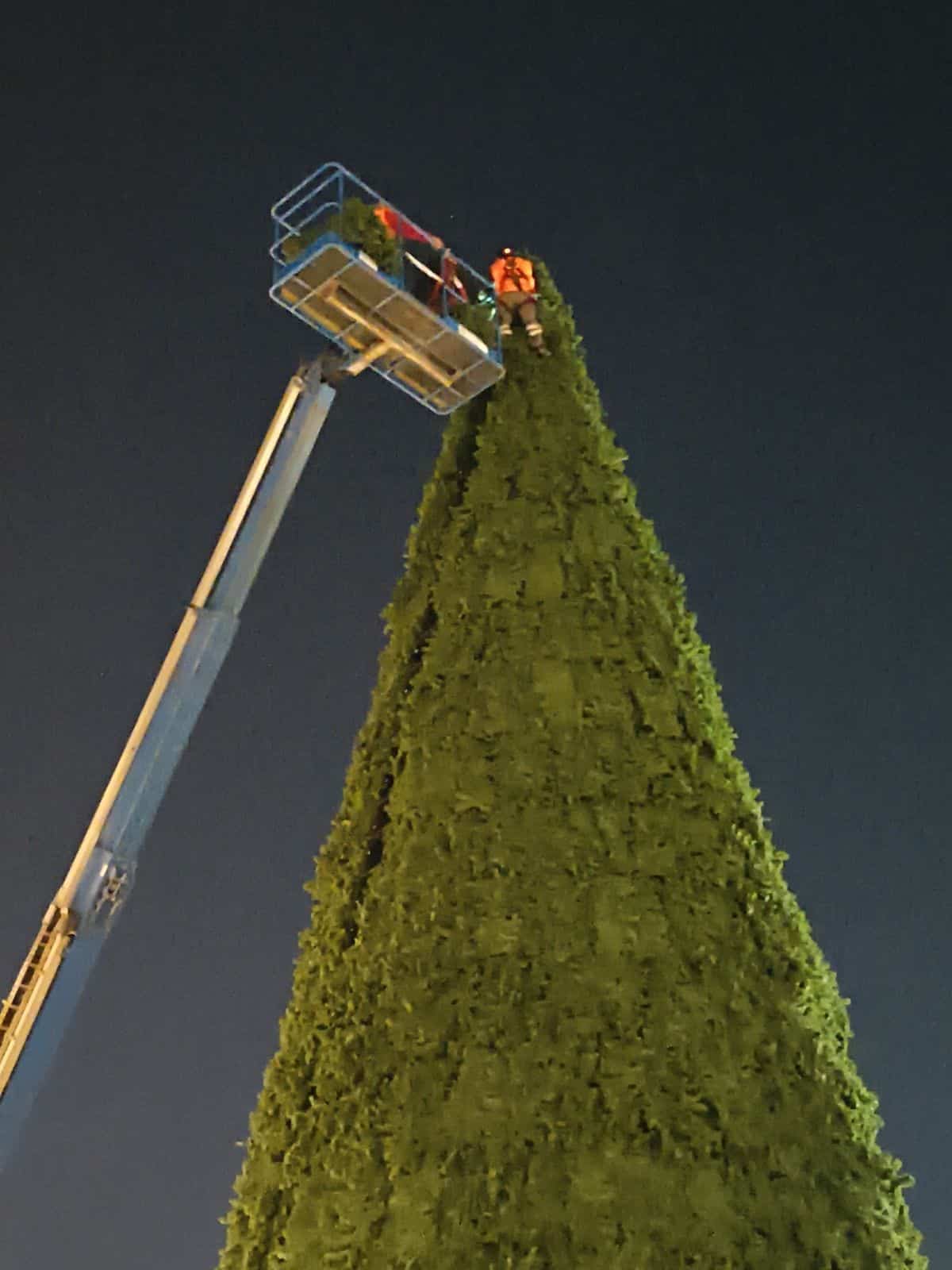 adornos navidad gobierno municipal slp
