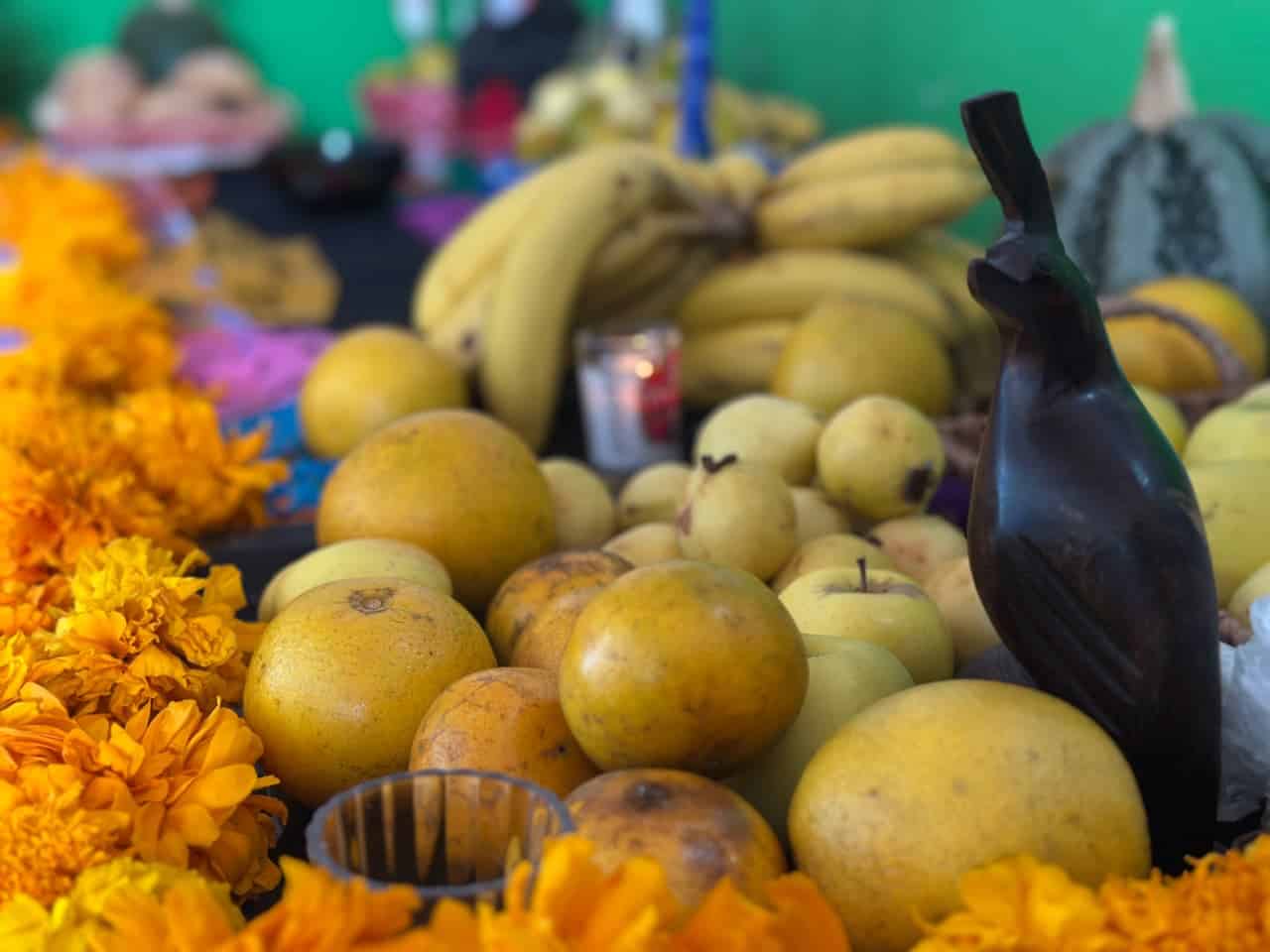 adultos mayores altares de muertos slp