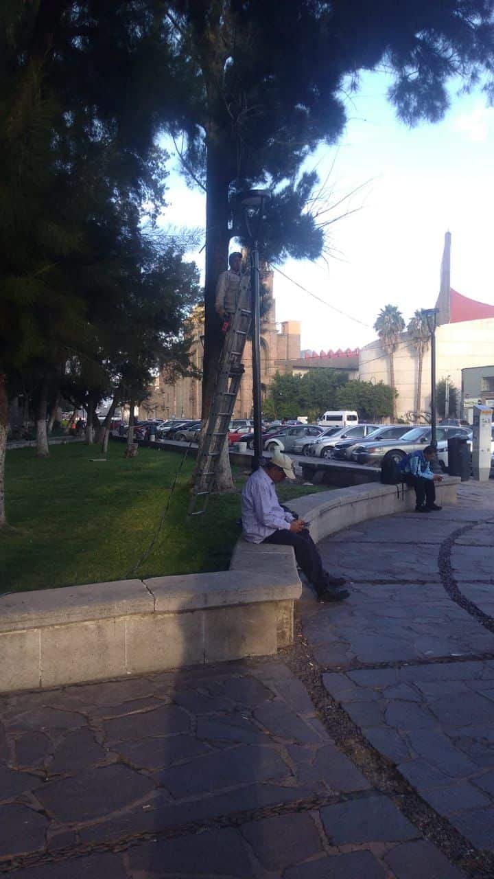 alumbrado alameda central apagon