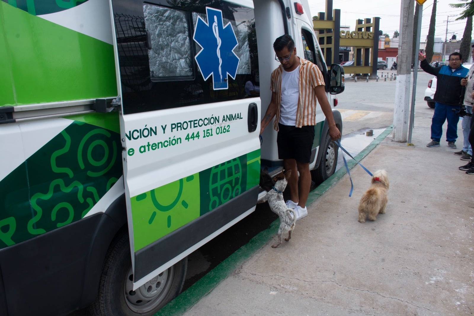 ambudog soledad