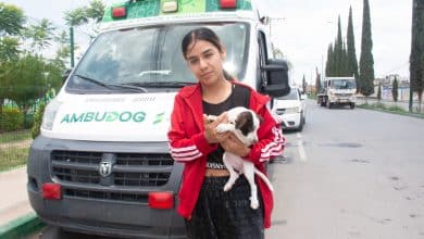 ambudog soledad