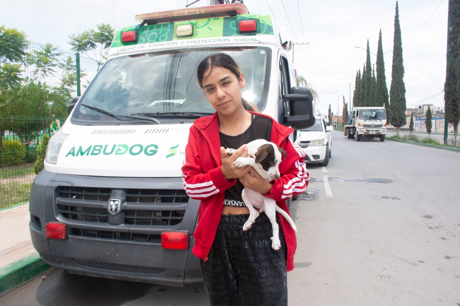 ambudog soledad