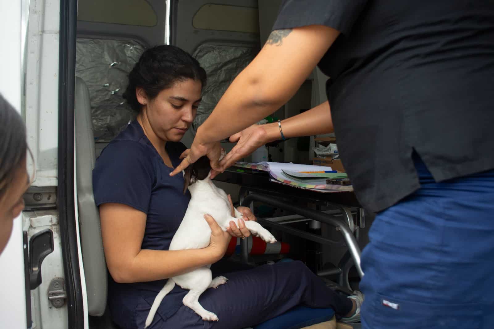 ambudog soledad