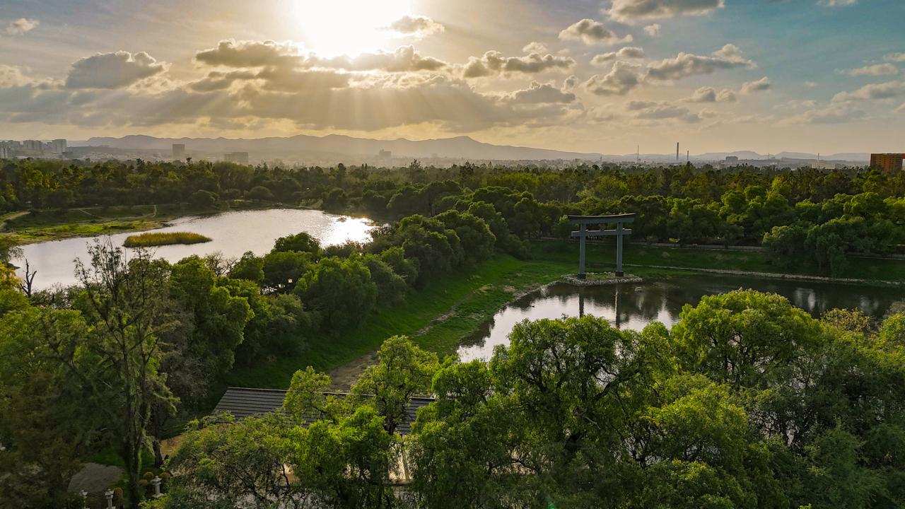 parque tangamanga