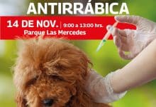 campaña antirrábica villa de pozos