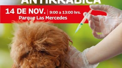 campaña antirrábica villa de pozos