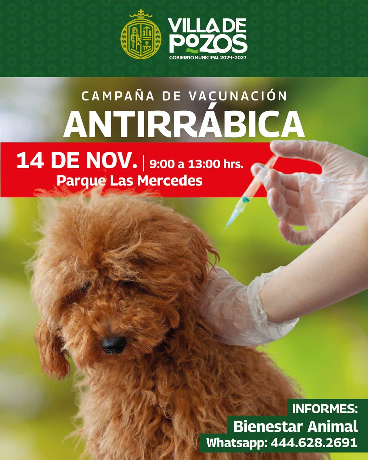 campaña antirrábica villa de pozos