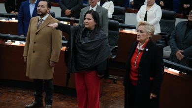 martha patricia aradillas villa de pozos