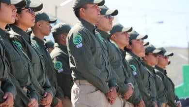 asueto gobierno del estado