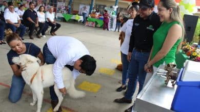 salud vida sana bienestar animal