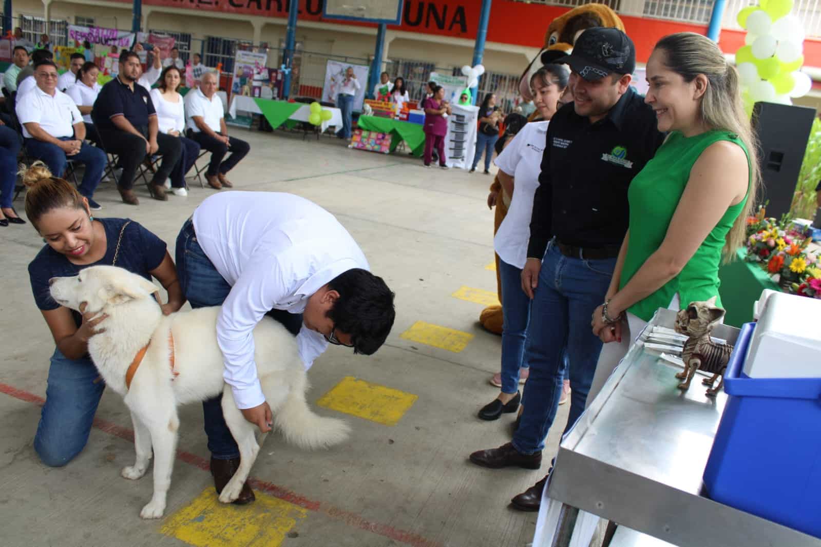 salud vida sana bienestar animal