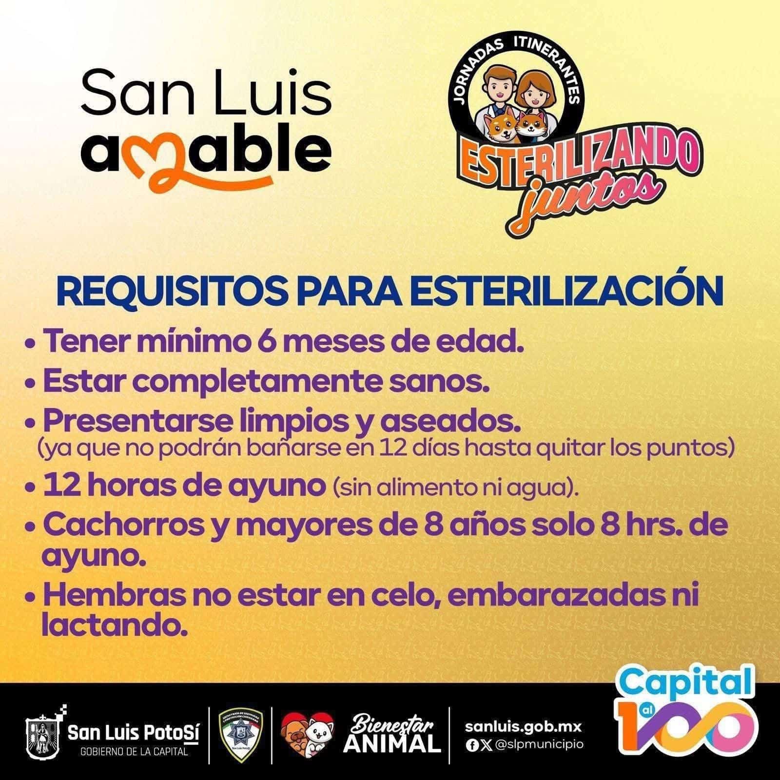 esterilizar mascotas milpillas