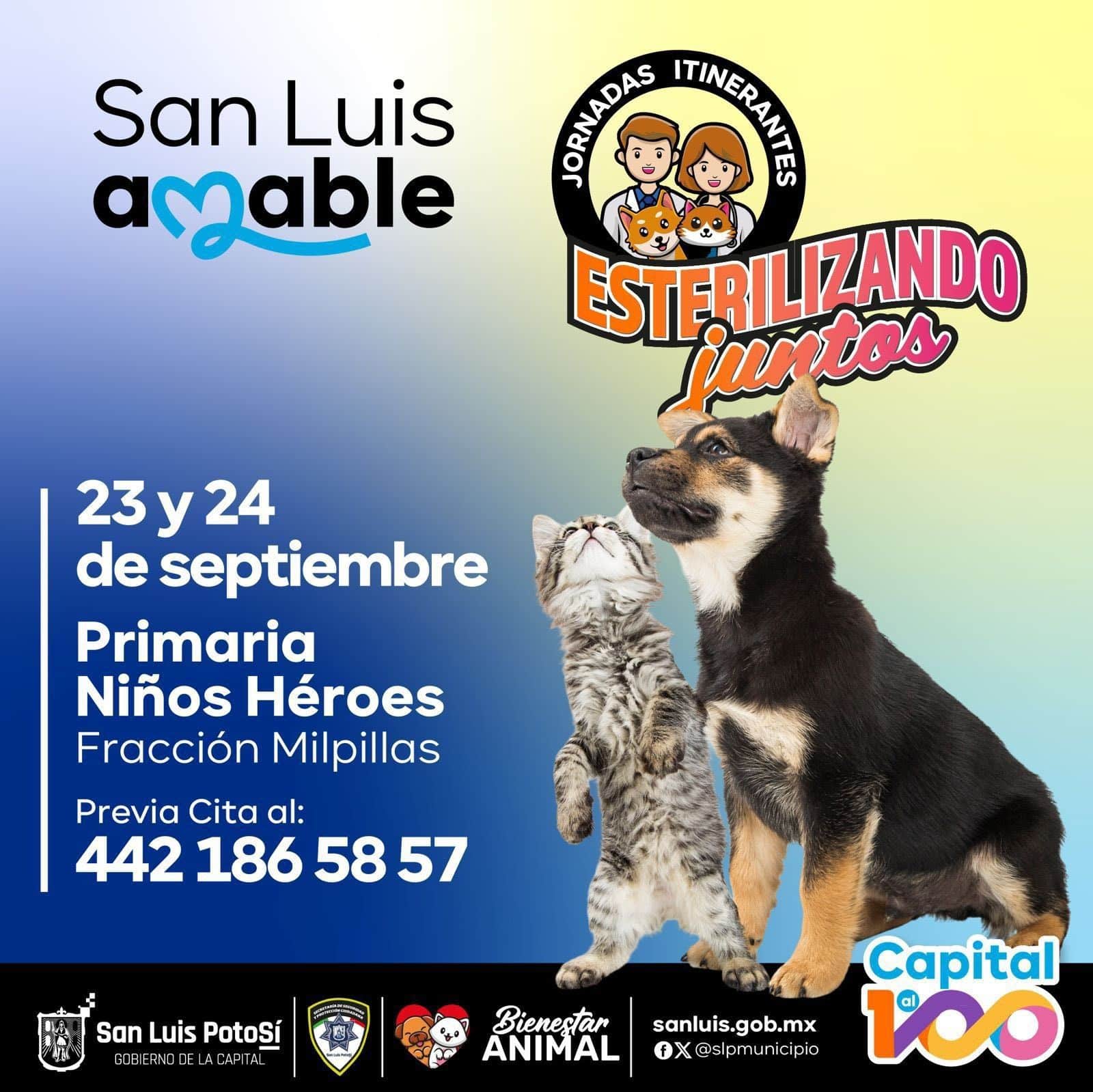 esterilizar mascotas milpillas