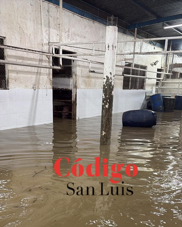 rastro municipal lluvias