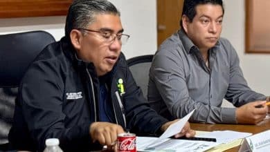 cabildo soledad ley ingresos