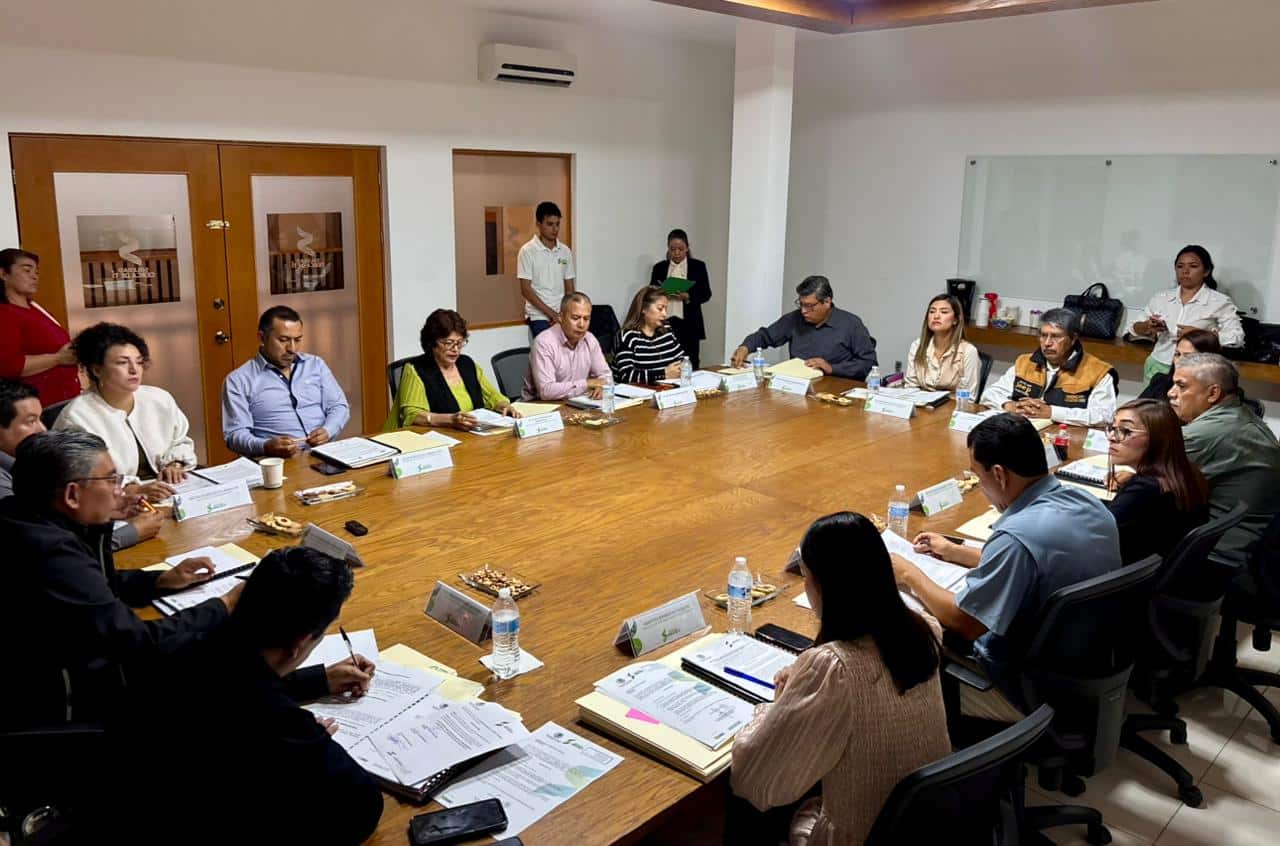 cabildo soledad ley ingresos