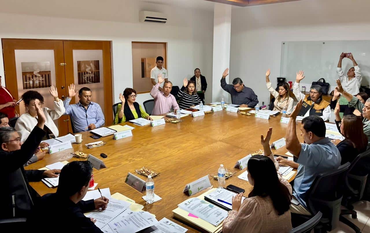 cabildo soledad ley ingresos