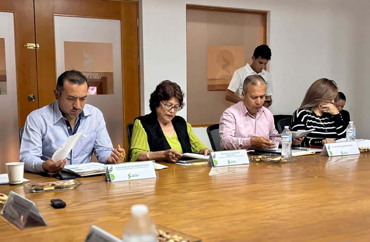 cabildo soledad ley ingresos