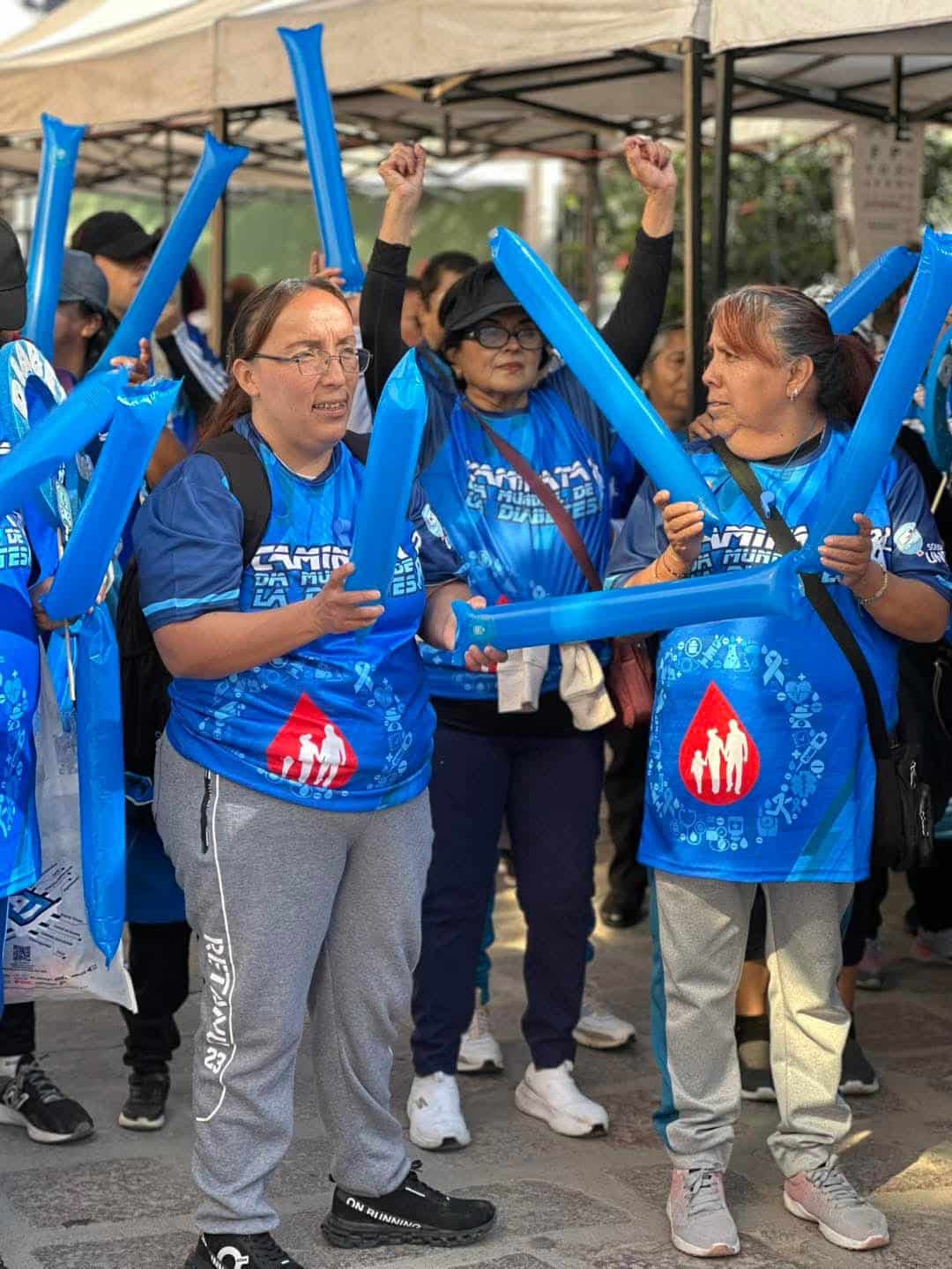 villa de pozos caminata