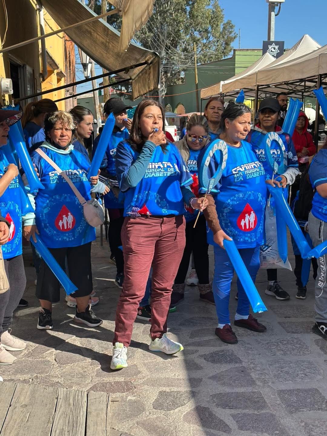 villa de pozos caminata