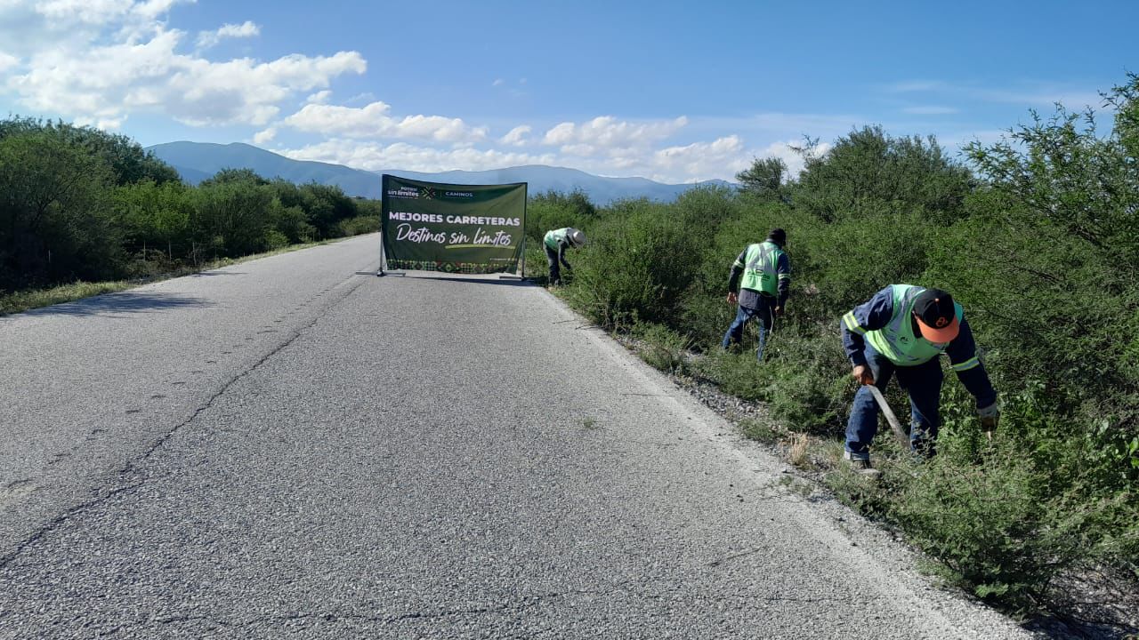 caminos catorce