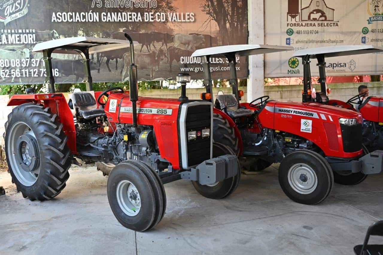 campo gallardo apoyo