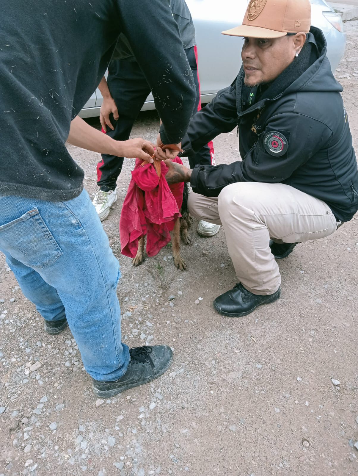 perrito rescatado soledad