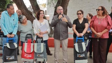 capital al 100 galindo viveros