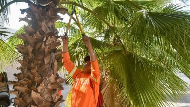 enrique galindo gobierno municipal slp