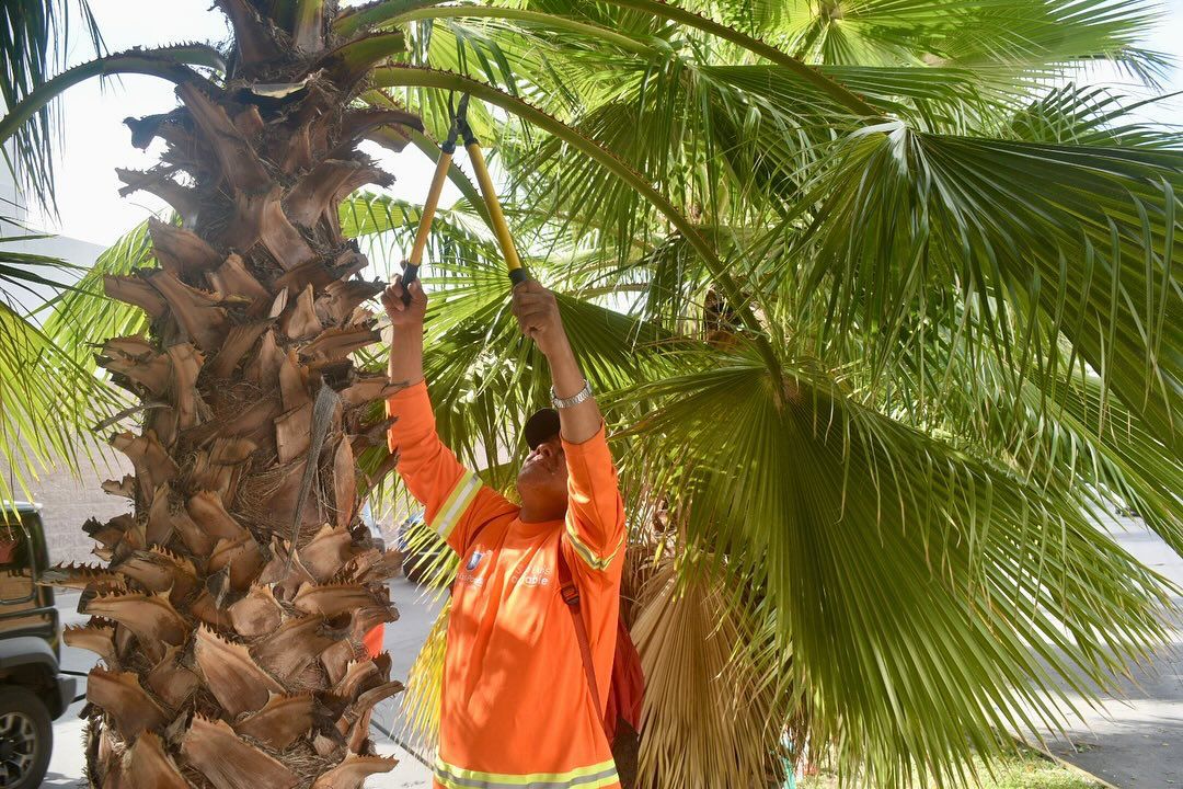 enrique galindo gobierno municipal slp