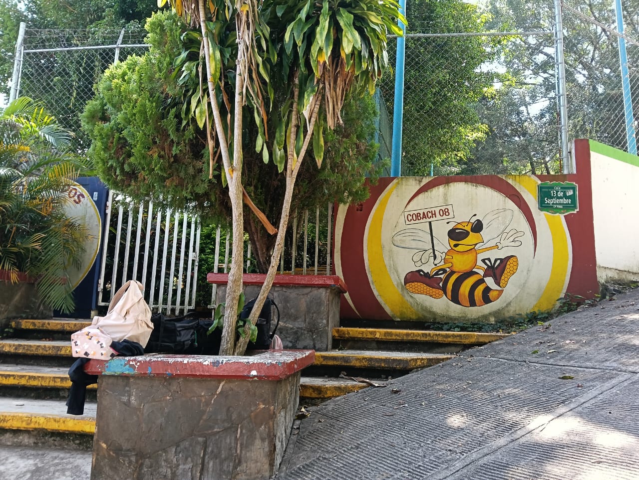 cobach 08 xilitla