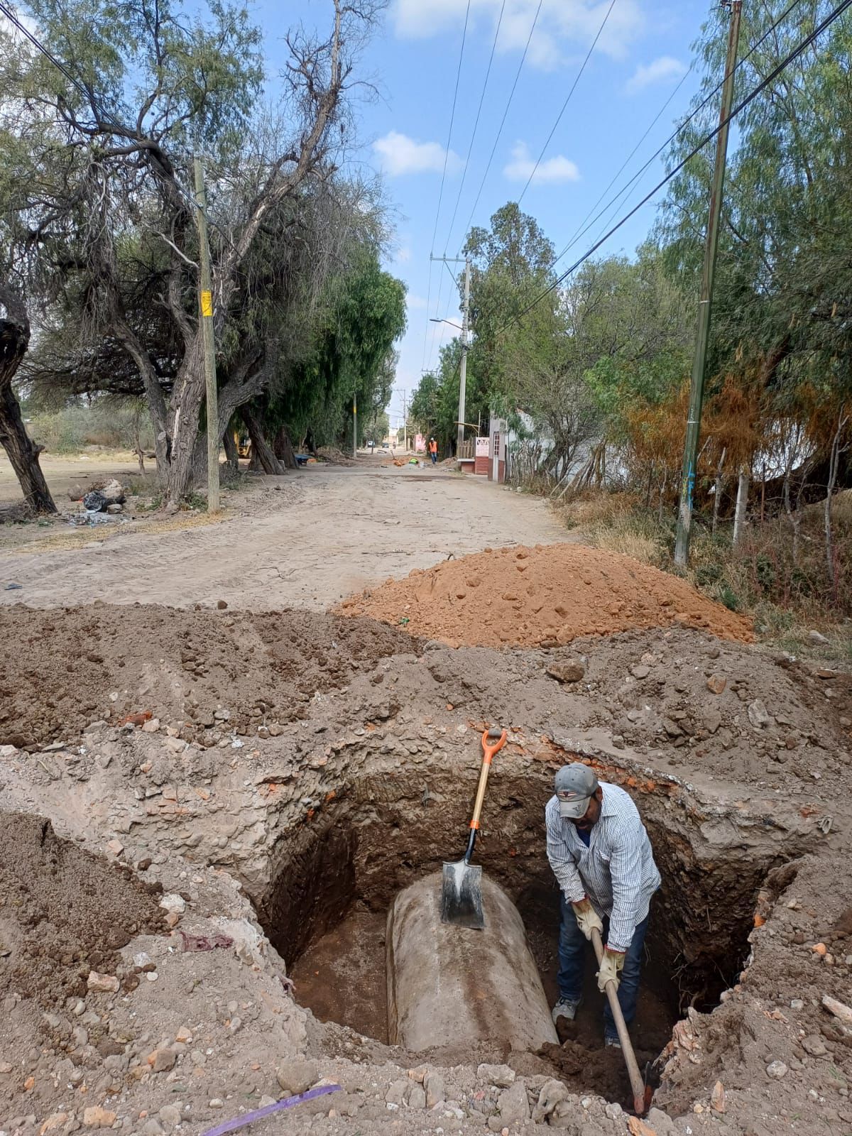colector tercera grande