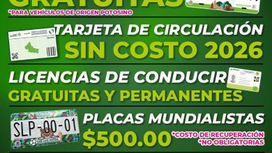 control vehicular gobierno del estado slp