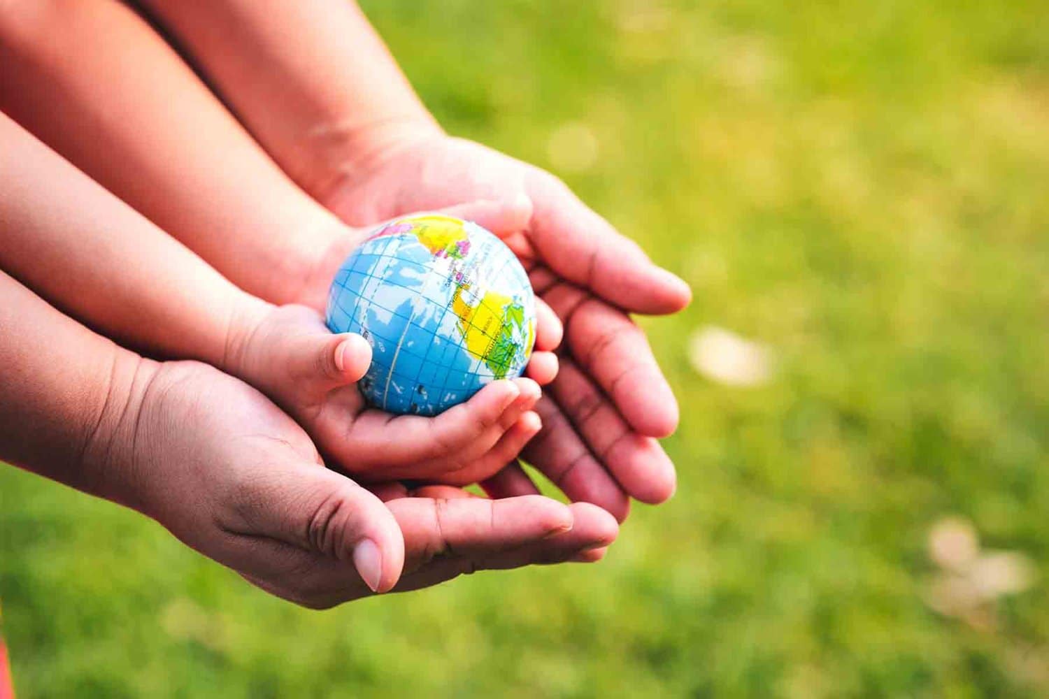 Día del Medio Ambiente