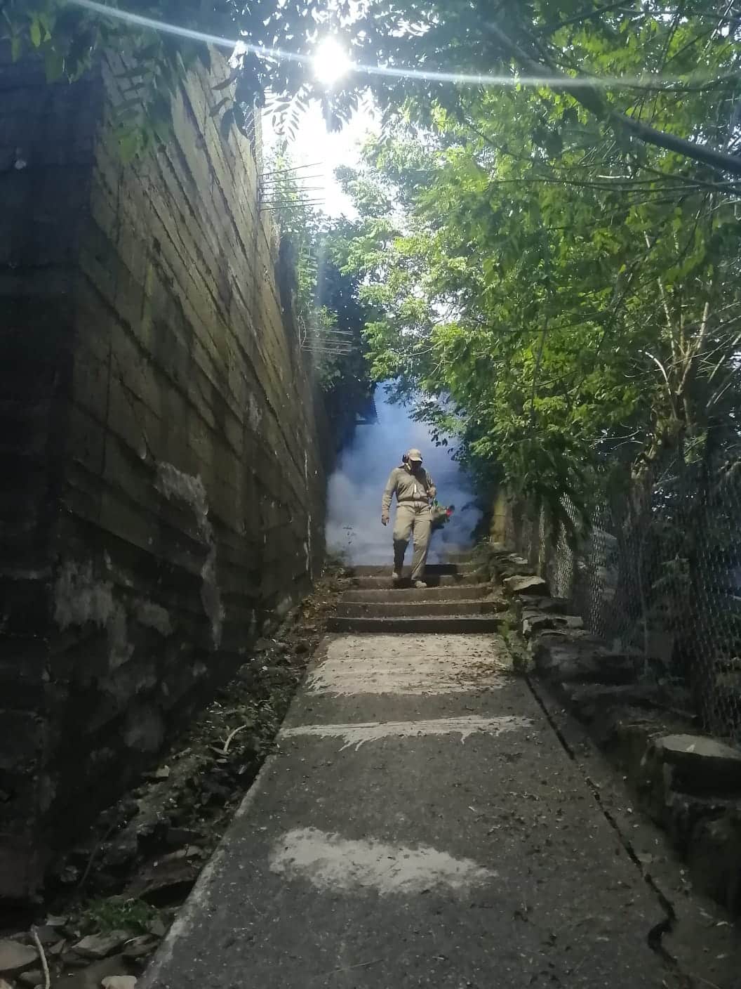 dengue salud gobierno del estado