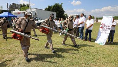 dengue salud gobierno del estado