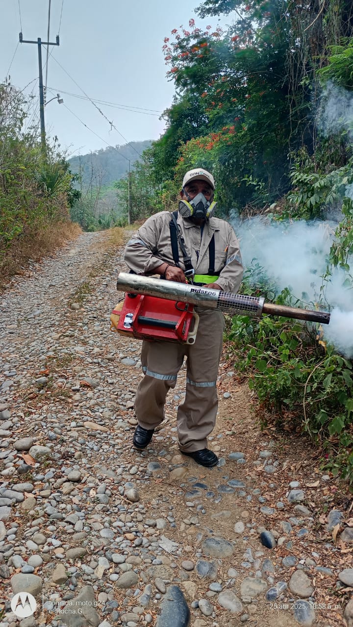 dengue salud gobierno del estado
