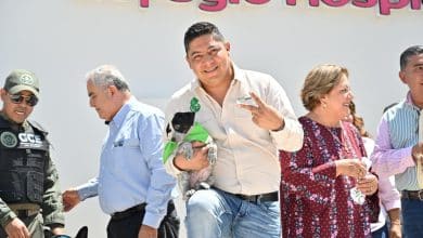 ricardo gallardo animales