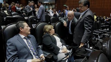 partido verde