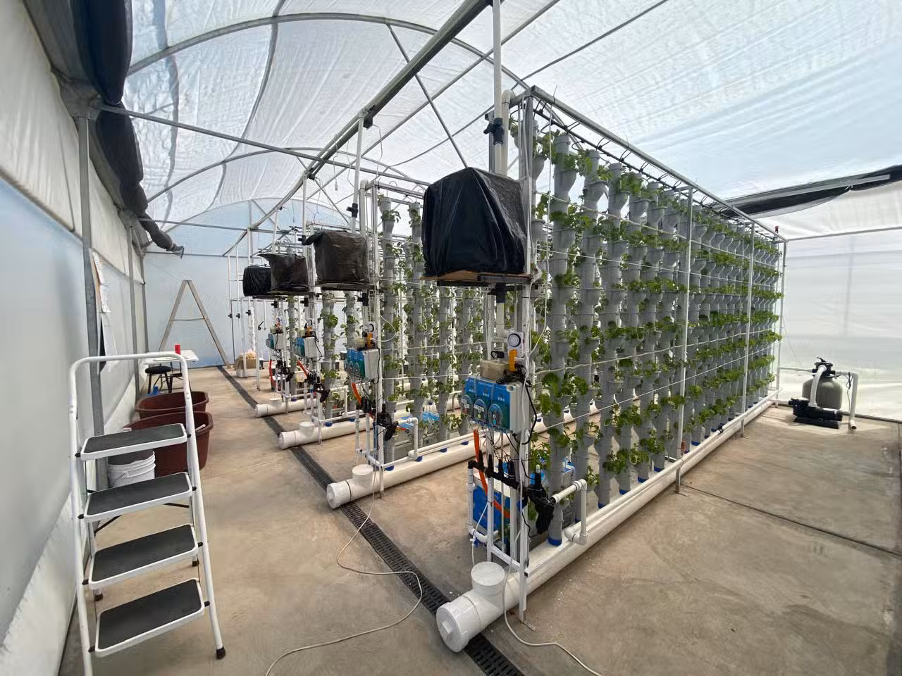 Desarrolla Facultad de Agronomía nuevo sistema de agricultura vertical – Código San Luis