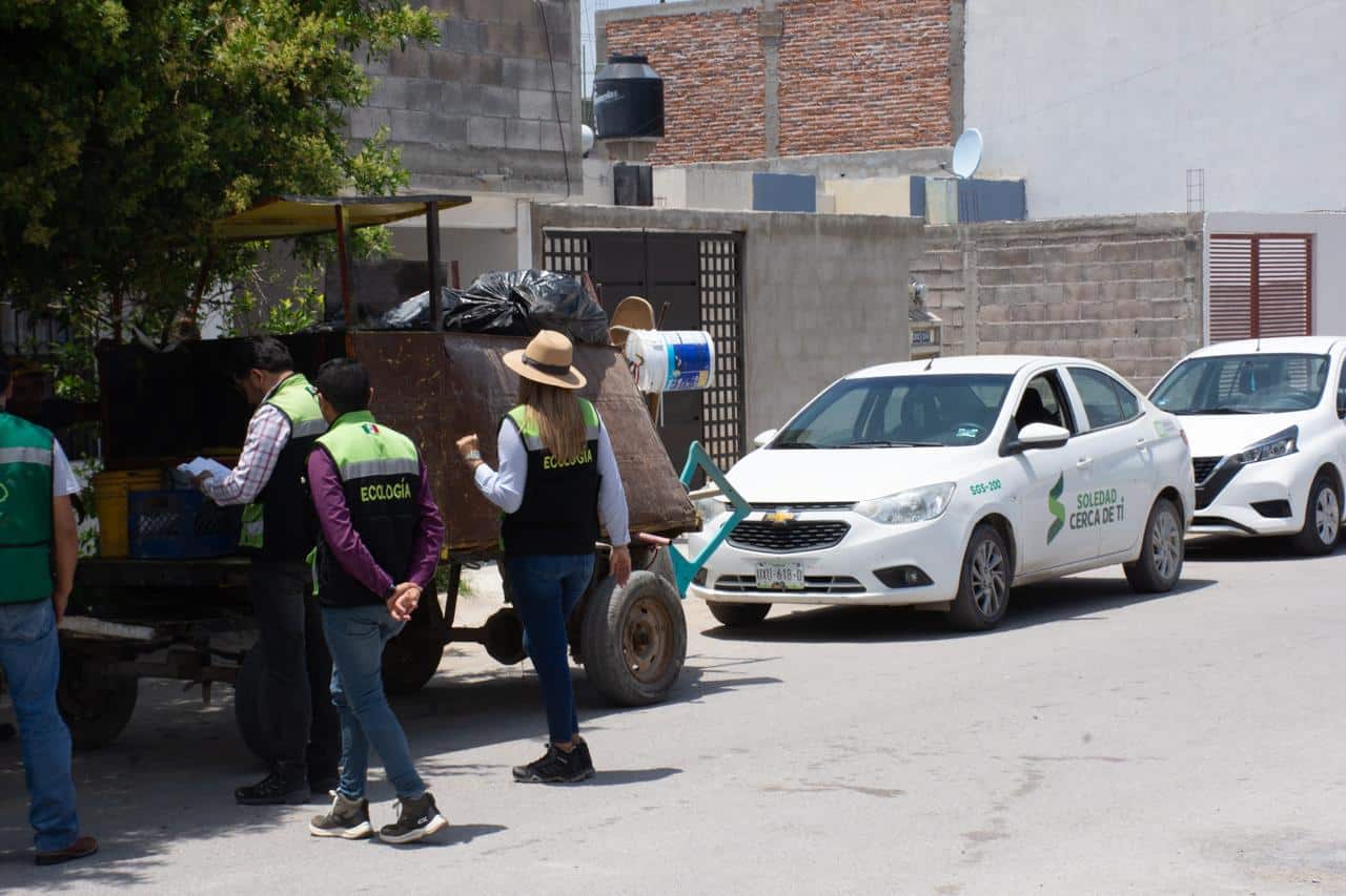 ecologia soledad maltrato animal