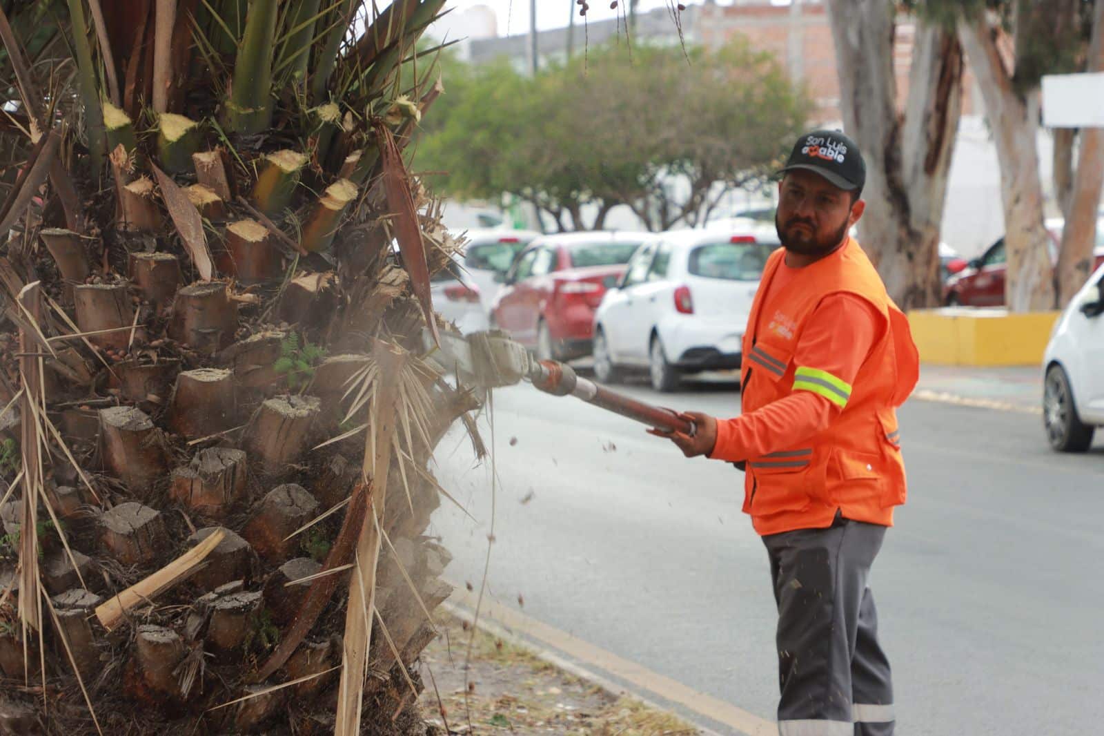 inegi gobierno municipal slp