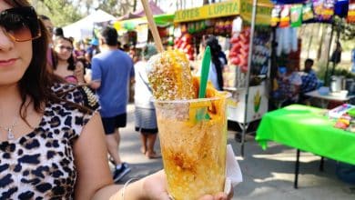 feria del elote gobierno municipal slp