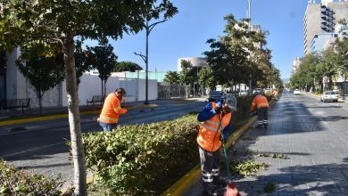 espacios públicos gobierno municipal slp